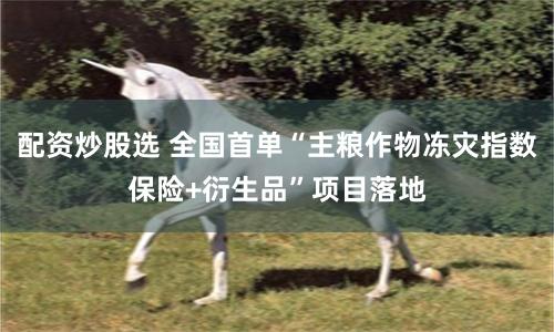 配资炒股选 全国首单“主粮作物冻灾指数保险+衍生品”项目落地