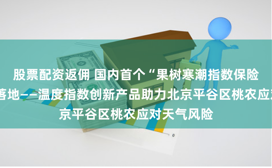 股票配资返佣 国内首个“果树寒潮指数保险+衍生品”落地——温度指数创新产品助力北京平谷区桃农应对天气风险